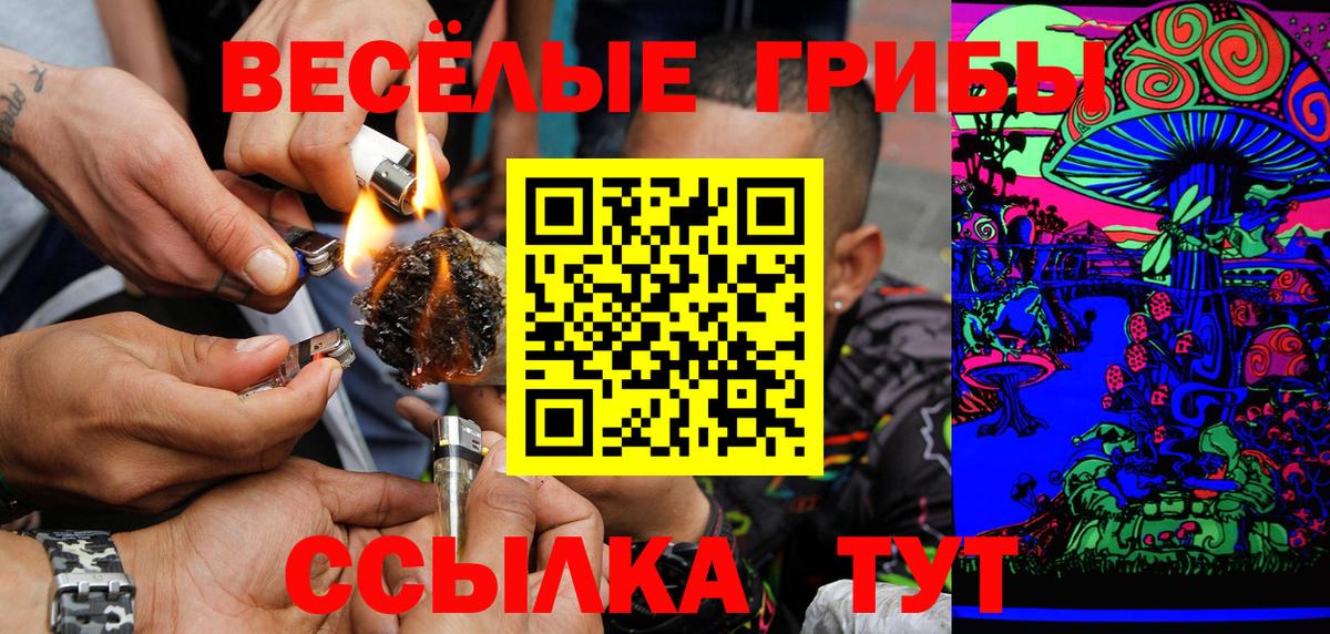 Псилоцибиновые грибы мицелий Котельники